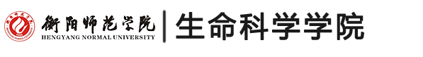 best365手机版官方网站